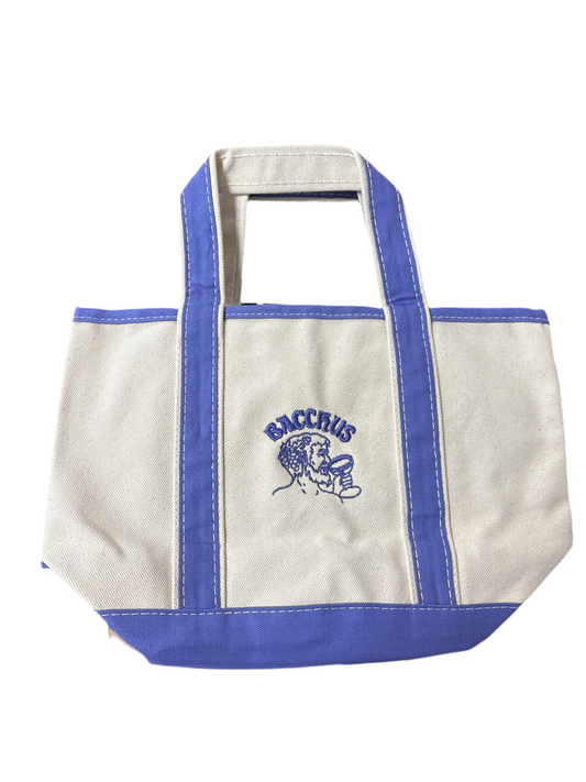 Handy Open Top Violet Canvas Tote Bag