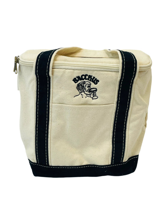 Small Insulated Lunch Tote