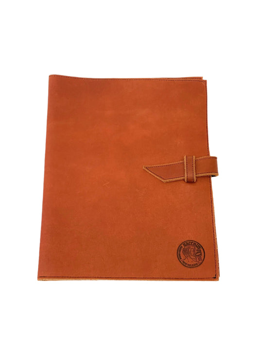 Professional Padfolio
